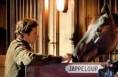 /album/galerie-photos/chevaux-11-jpg/
